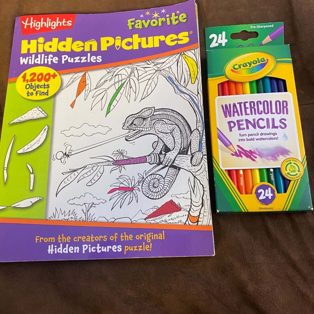 Children’s “Hidden Pictures Wilflife Puzzles book